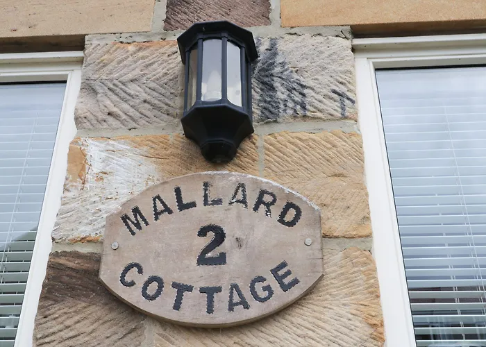 Holiday home Mallard *